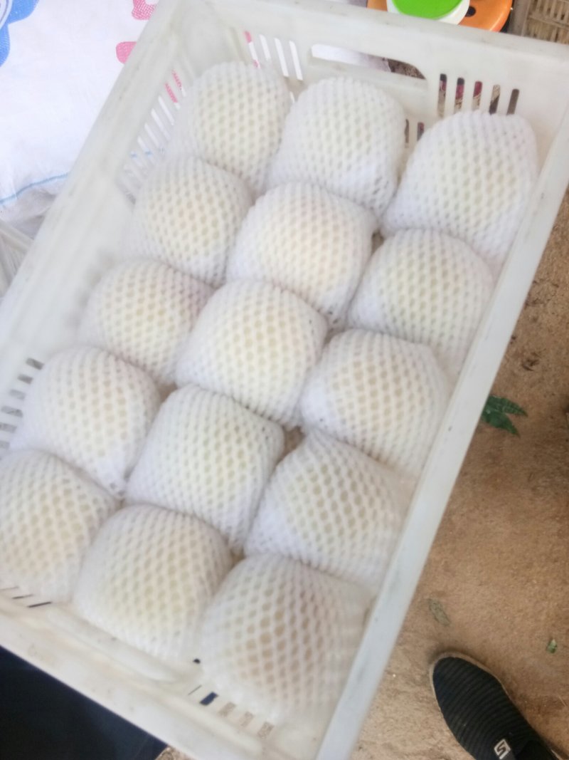 水蜜桃