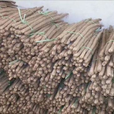 白玉山药