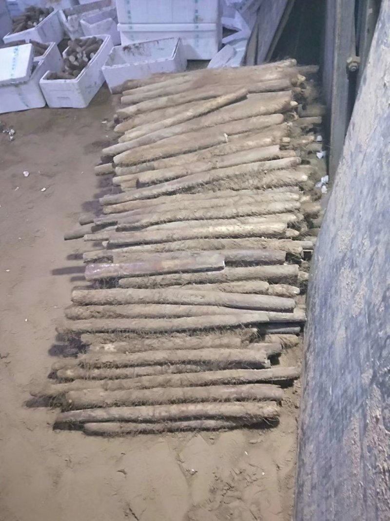 白玉山药