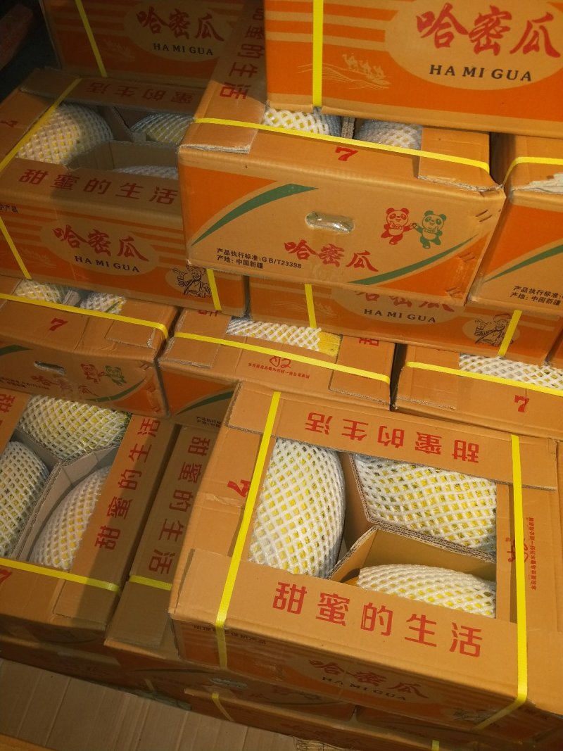 大量预售八六王，可供应电商，对接超市。专业保证品质
