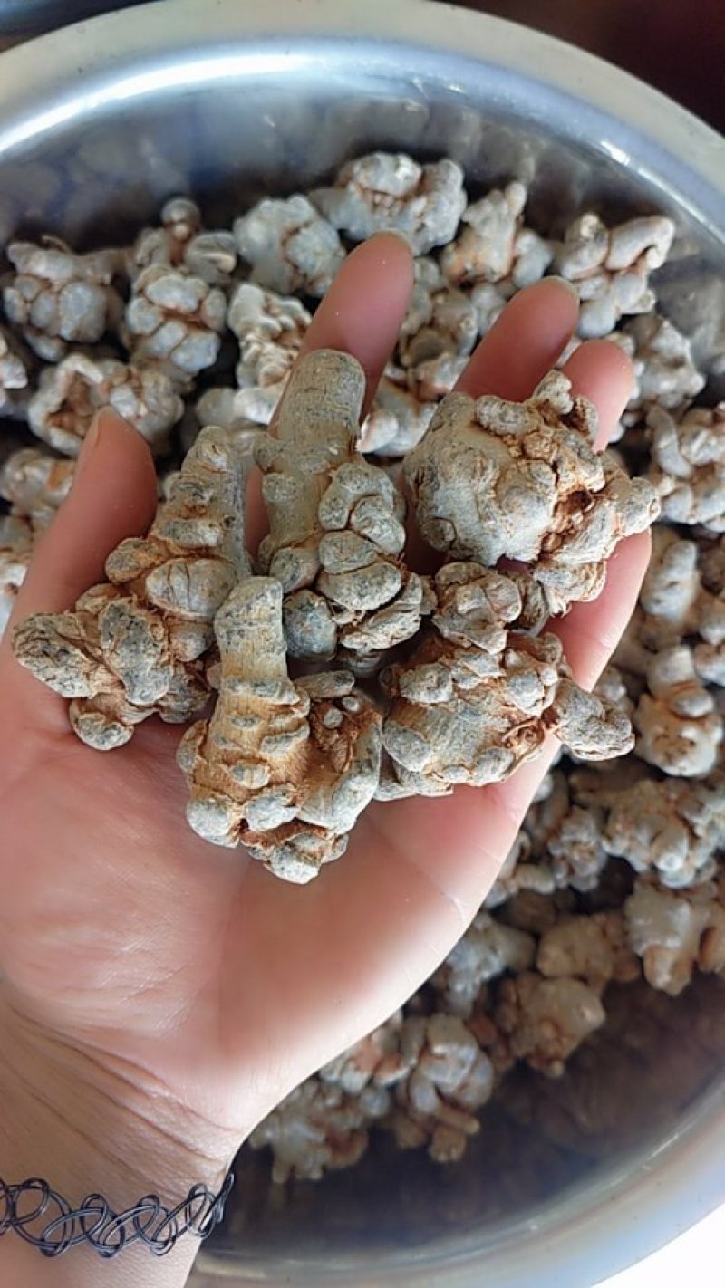 三七振兴药材购销60头水洗三七产地直销量大从优