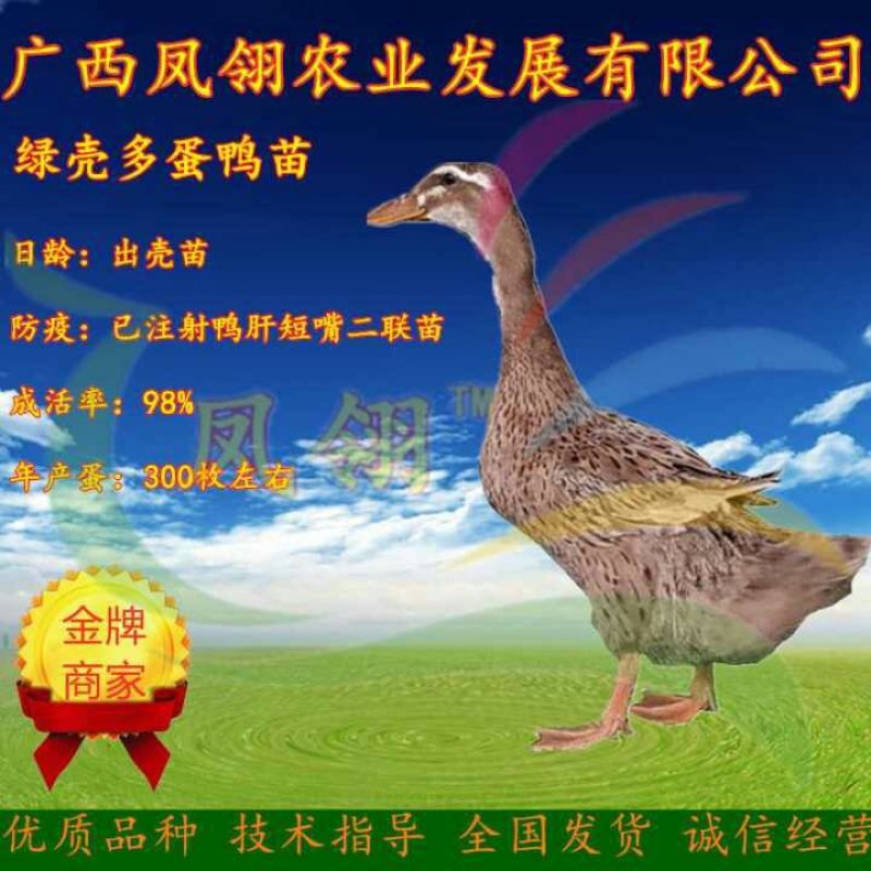 肉鸭，蛋鸭，鸭蛋。
