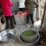 小叶苦丁茶，批发，零售自产自销欢一件也是批发价