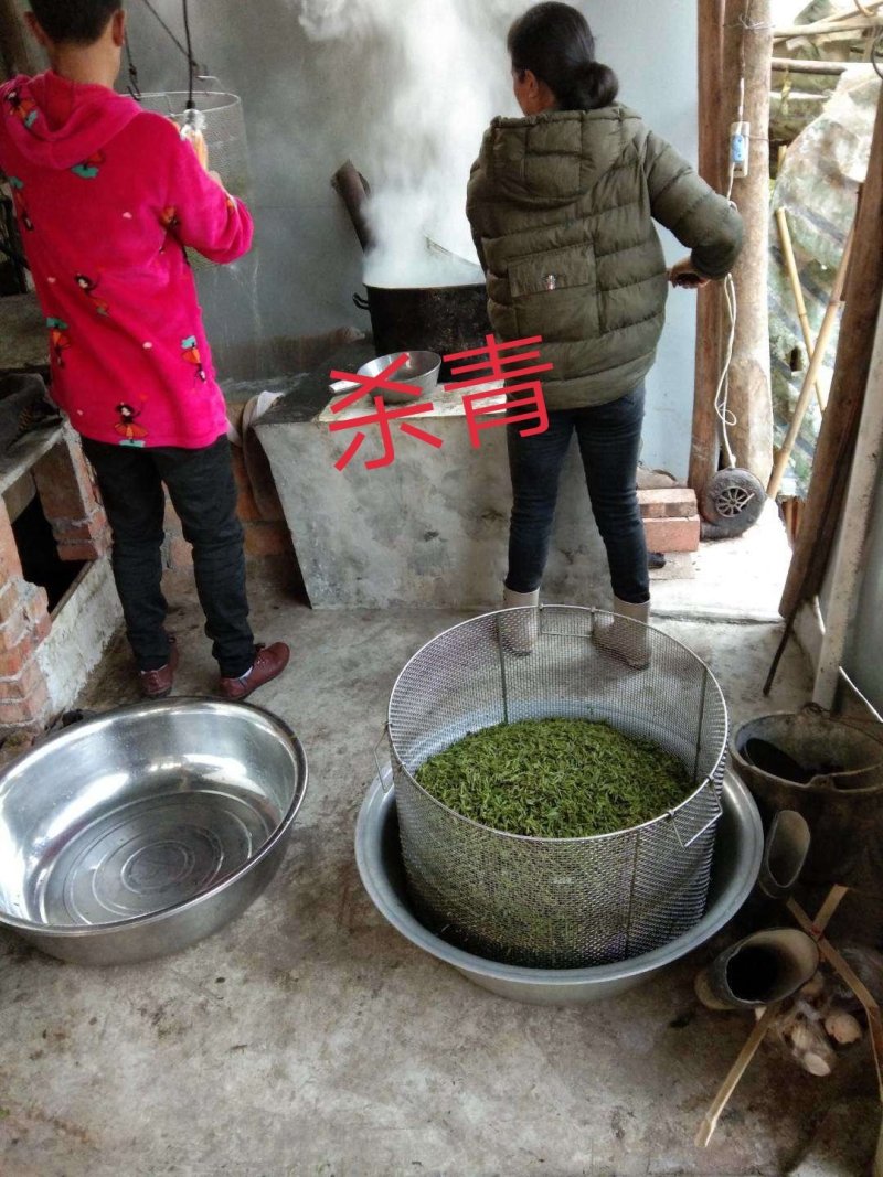 小叶苦丁茶，批发，零售自产自销欢一件也是批发价