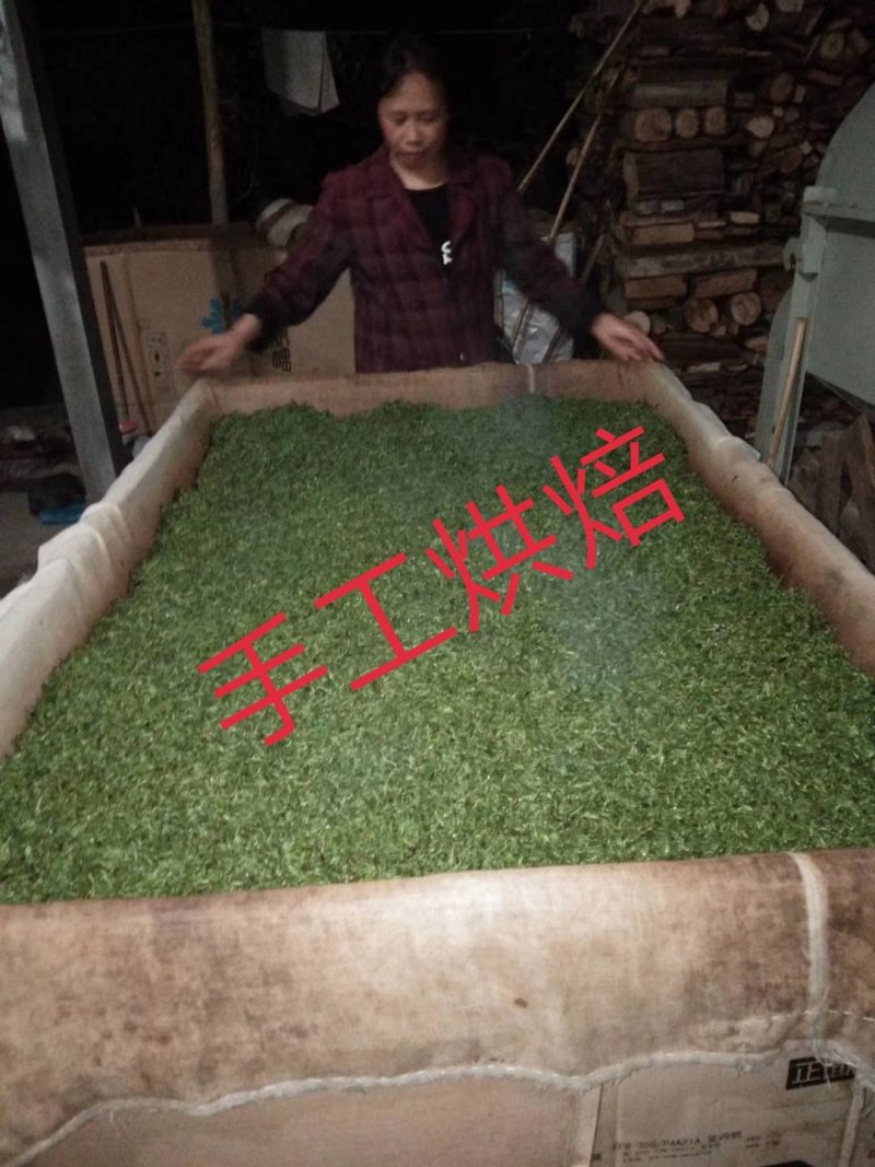 小叶苦丁茶，批发，零售自产自销欢一件也是批发价
