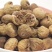 新疆无花果干20斤起包邮