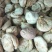 新疆无花果干20斤起包邮