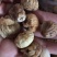 新疆无花果干20斤起包邮