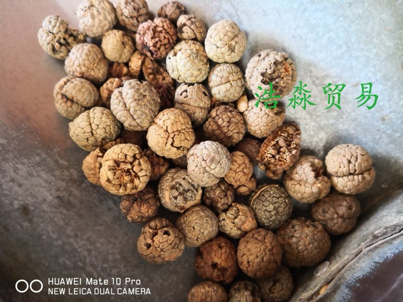 草豆蔻选货个子大粒量大从优欢迎选购