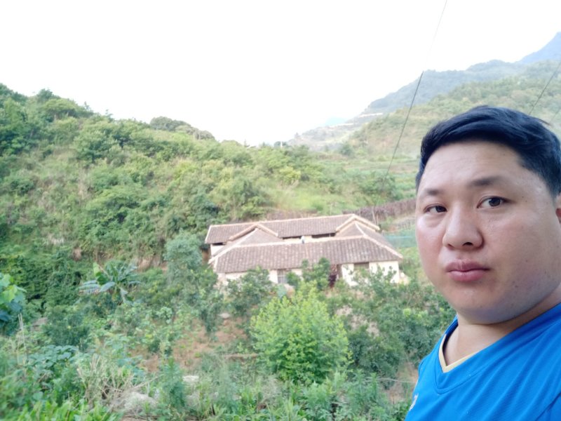 正宗农家散养土鸡~牧草鸡~