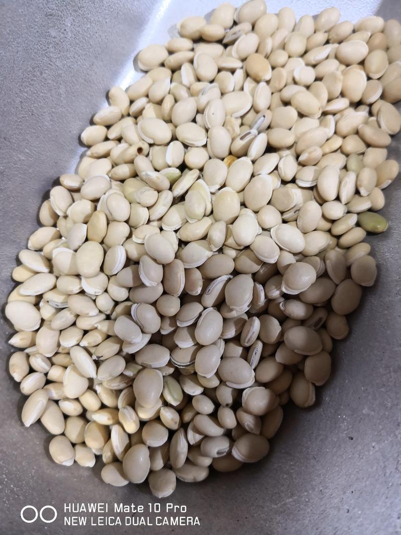 白扁豆干货国产各种规格都有现货量大从优