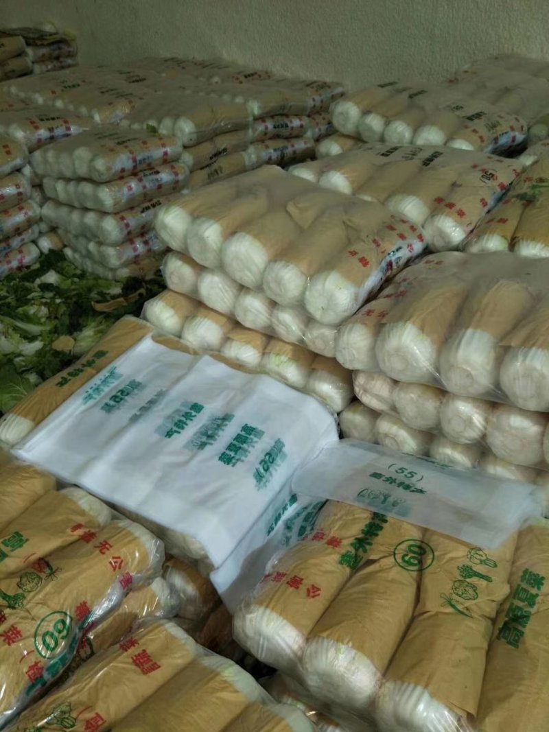 黄心白菜大量上市，质美价廉，欢迎全国客商前来选购