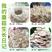 蘑菇种植包平菇菌棒香菇菌种菇种家庭食，直接可以下单