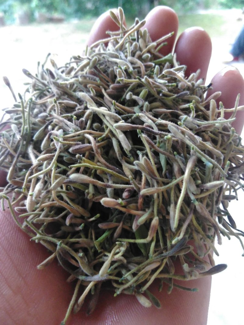 秦岭野金银花精选特级干花散装清热茶200克包邮