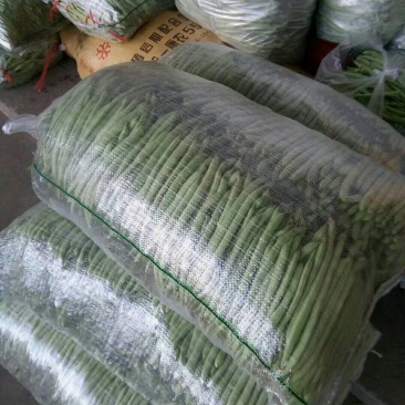 高山蔬菜之一五季豆闪亮登场啦！
