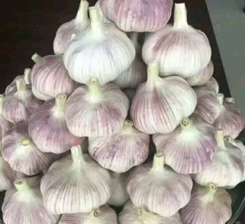 优级紫皮大蒜欢迎来电咨询基地发货一件代发