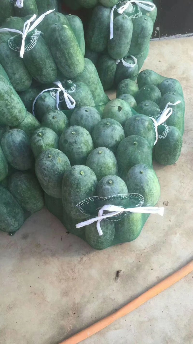 大量出售水果冬瓜