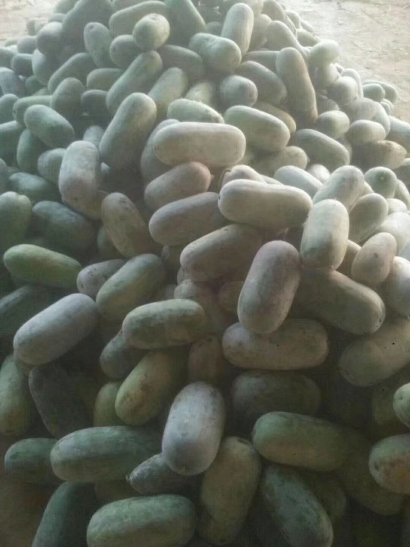 大量出售水果冬瓜