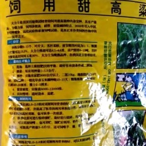 甜高粱种子，牧草饲用品种进囗大力士甜高粱高产牧草