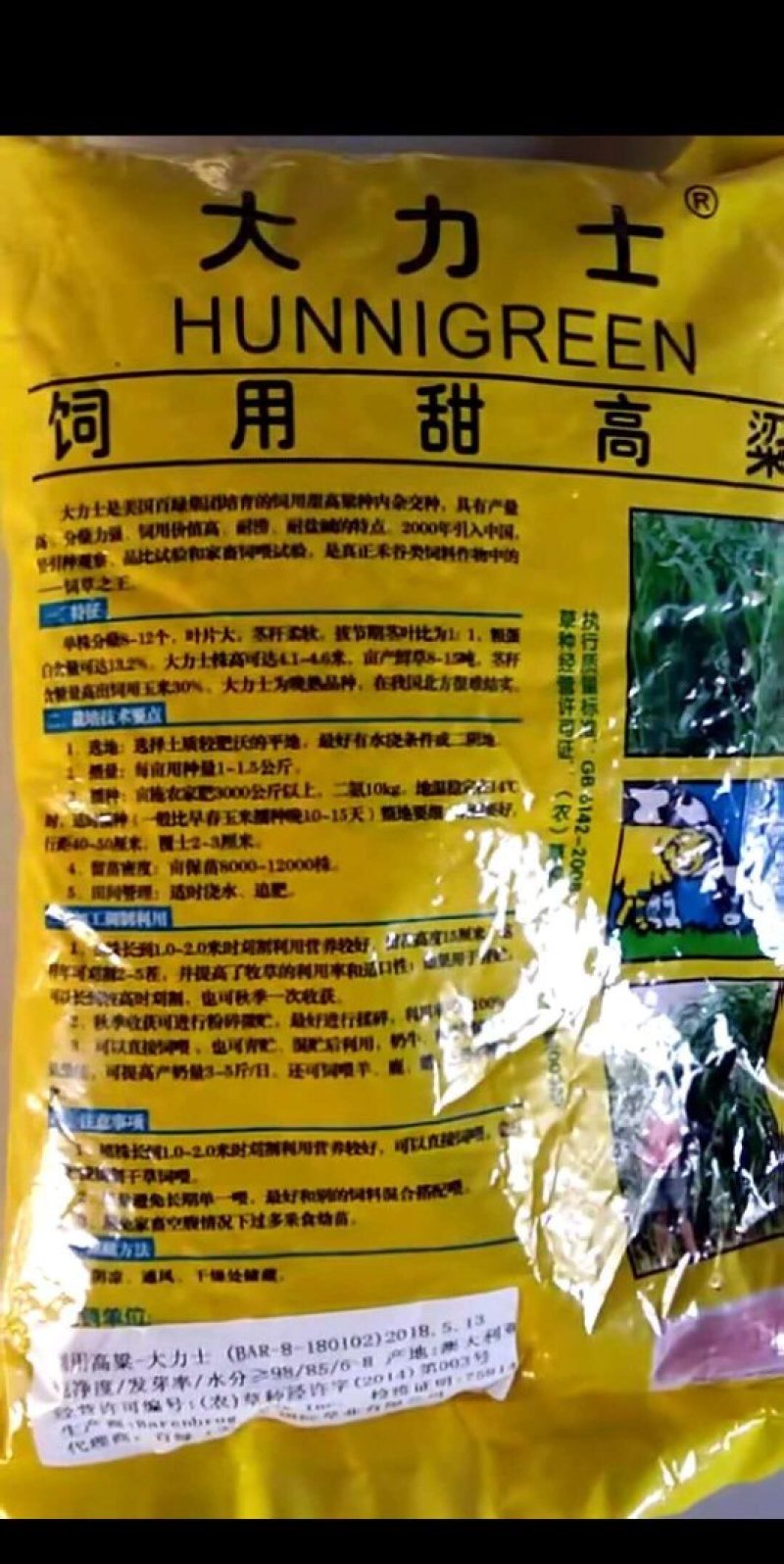 甜高粱种子，牧草饲用品种进囗大力士甜高粱高产牧草