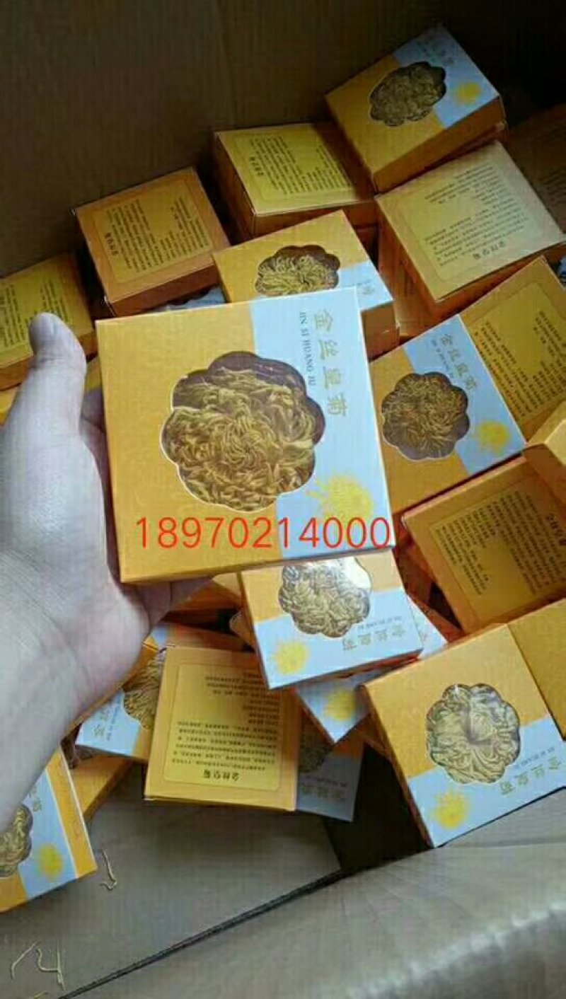 正宗修水金丝皇菊一朵一杯大黄菊清热去火源产地发货