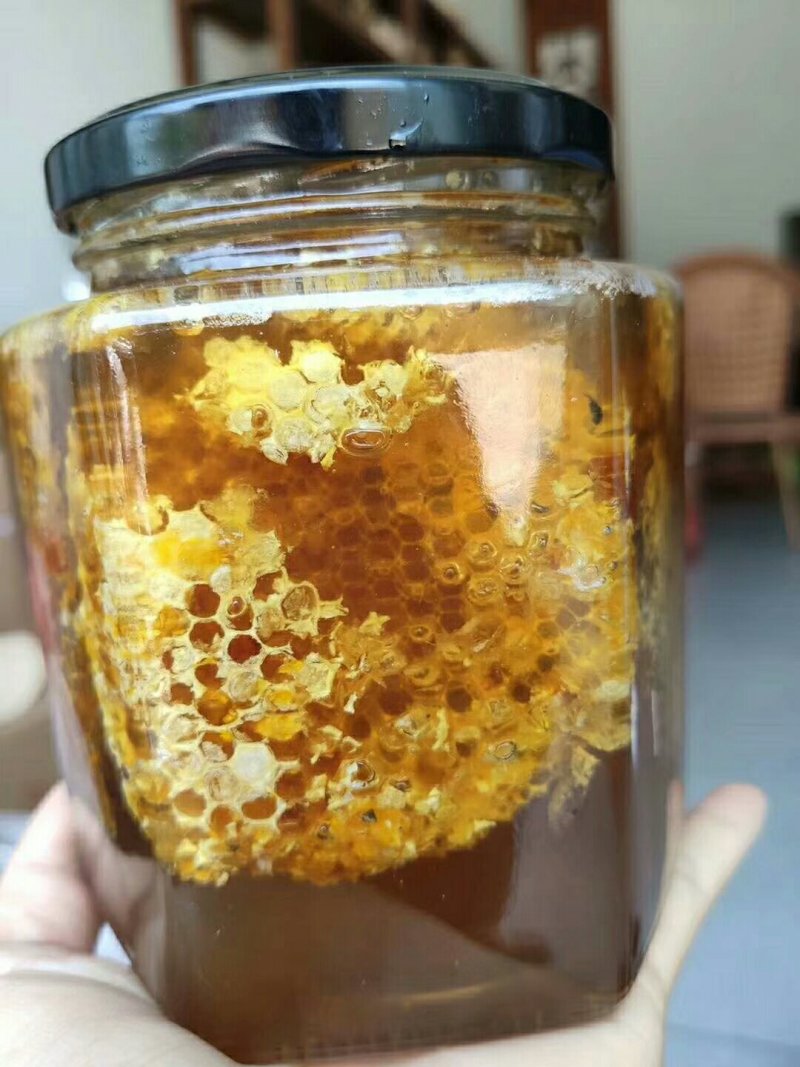 原始森林野生蜜/（可供电商）