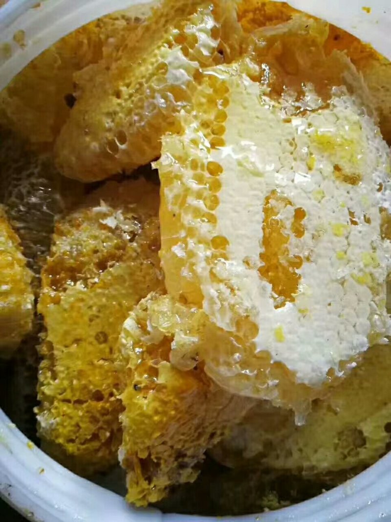 原始森林野生蜜/（可供电商）