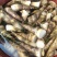 马蹄笋，诚信经营，有需要可以联系，，，，，，