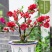【6年海棠花苗】盆栽树苗盆景老桩室内观花绿植庭院四季开