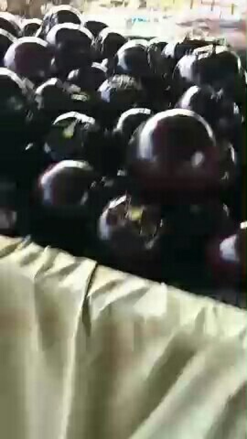 圆茄