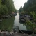 微山湖毛刀鱼