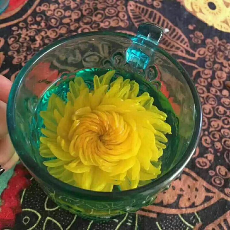 金丝皇菊正品干净无硫欢迎全国药店中医馆详谈