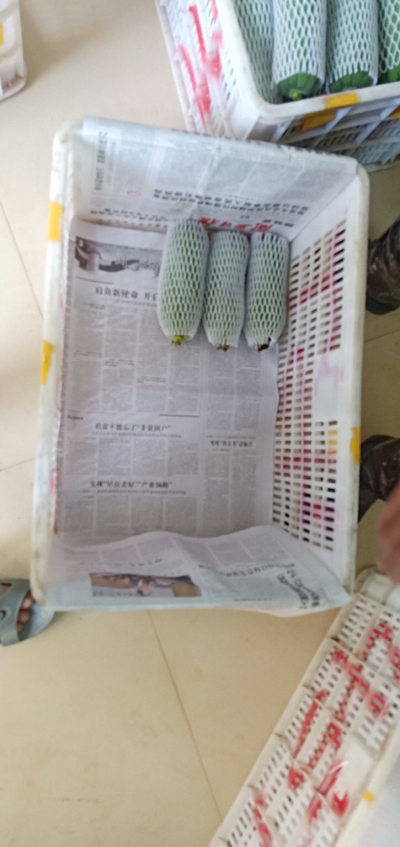 丝瓜