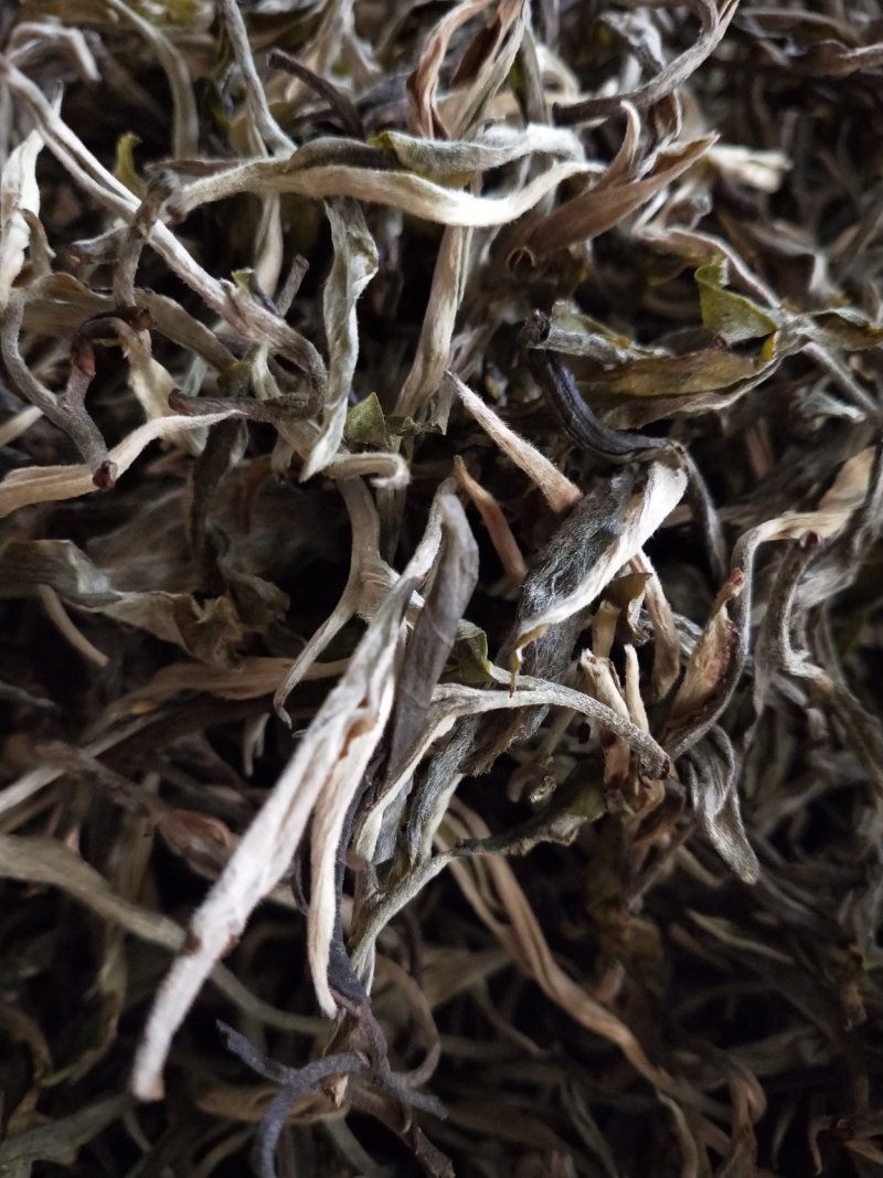 古树普洱茶