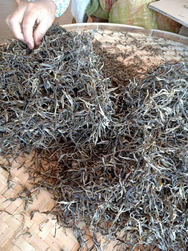 古树普洱茶