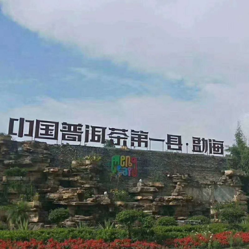古树普洱茶