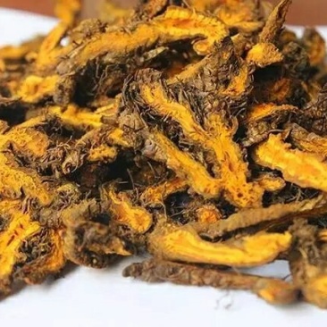 黄连片纯正品质质量有保障欢迎全国药店中医馆详谈