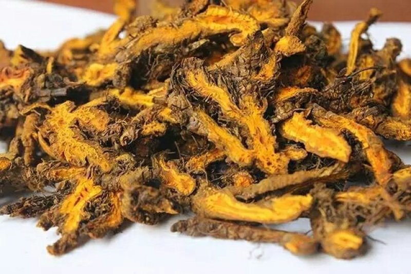 黄连片纯正品质质量有保障欢迎全国药店中医馆详谈