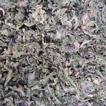 中药材昆布