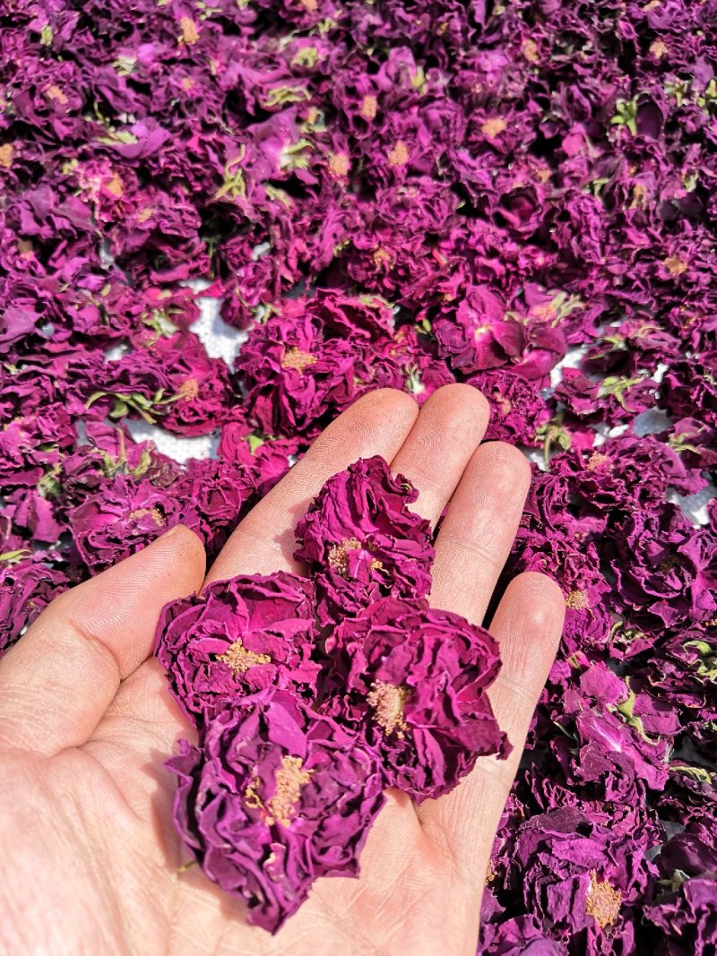 上等食用玫瑰花茶