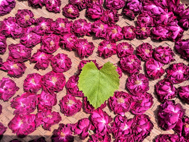 上等食用玫瑰花茶
