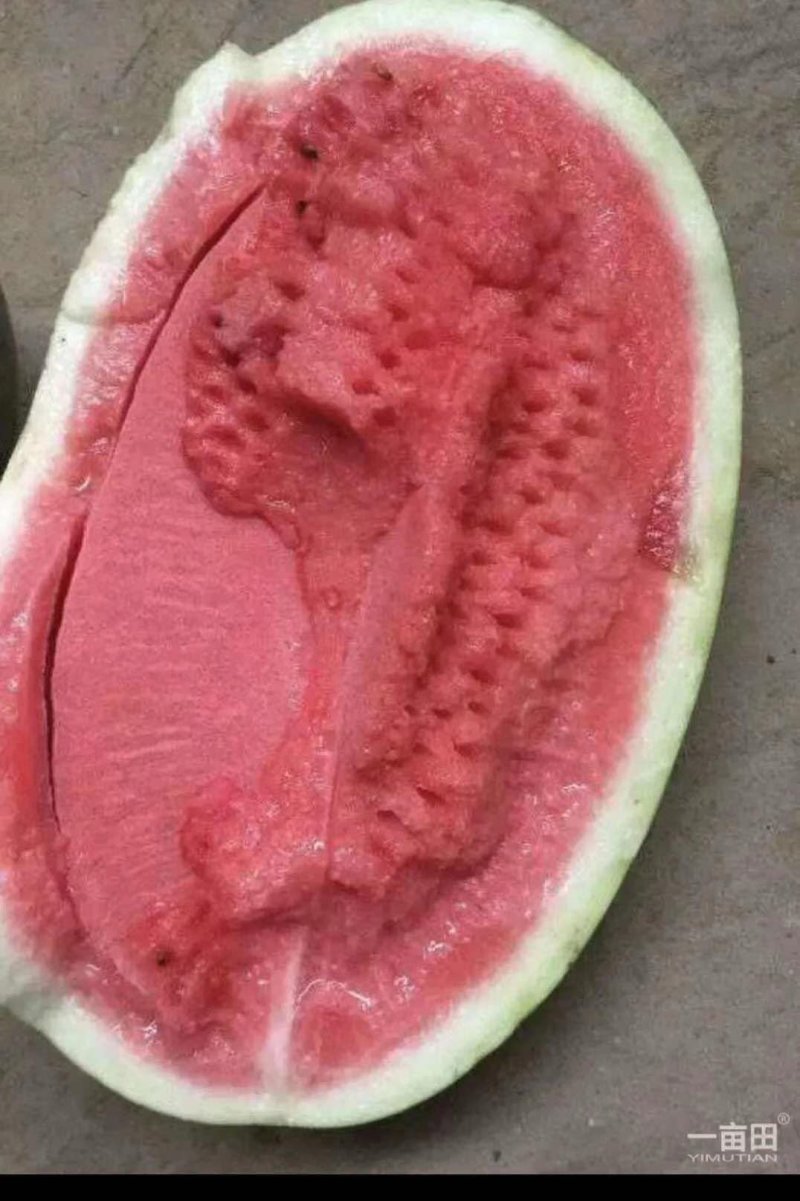 龙卷风大量上市