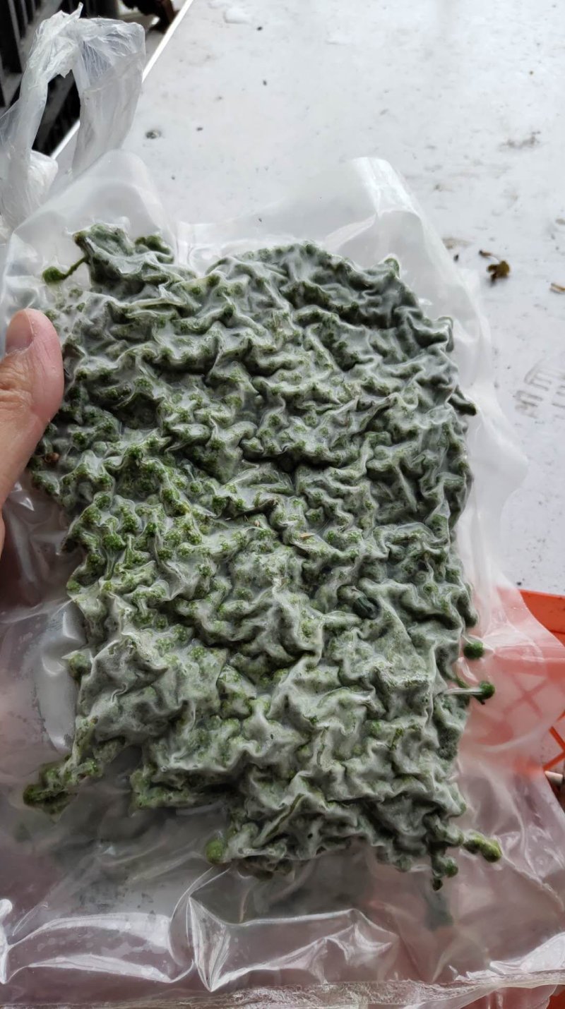 九叶青鲜花椒