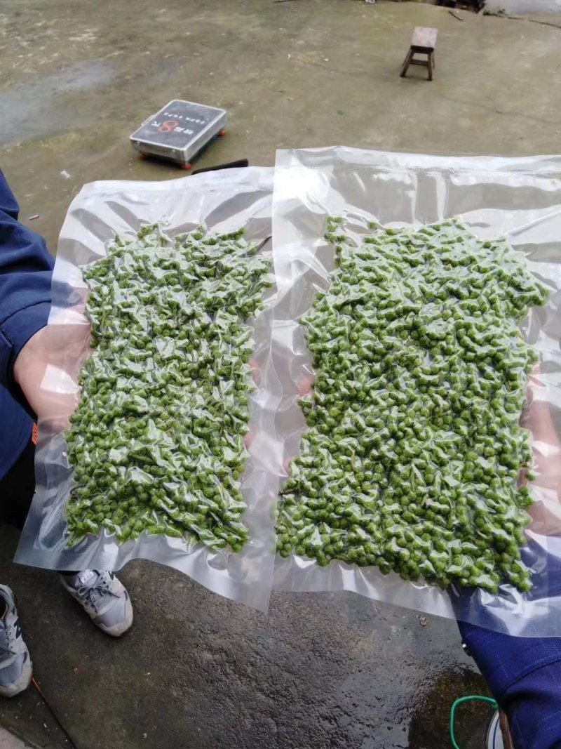 九叶青鲜花椒