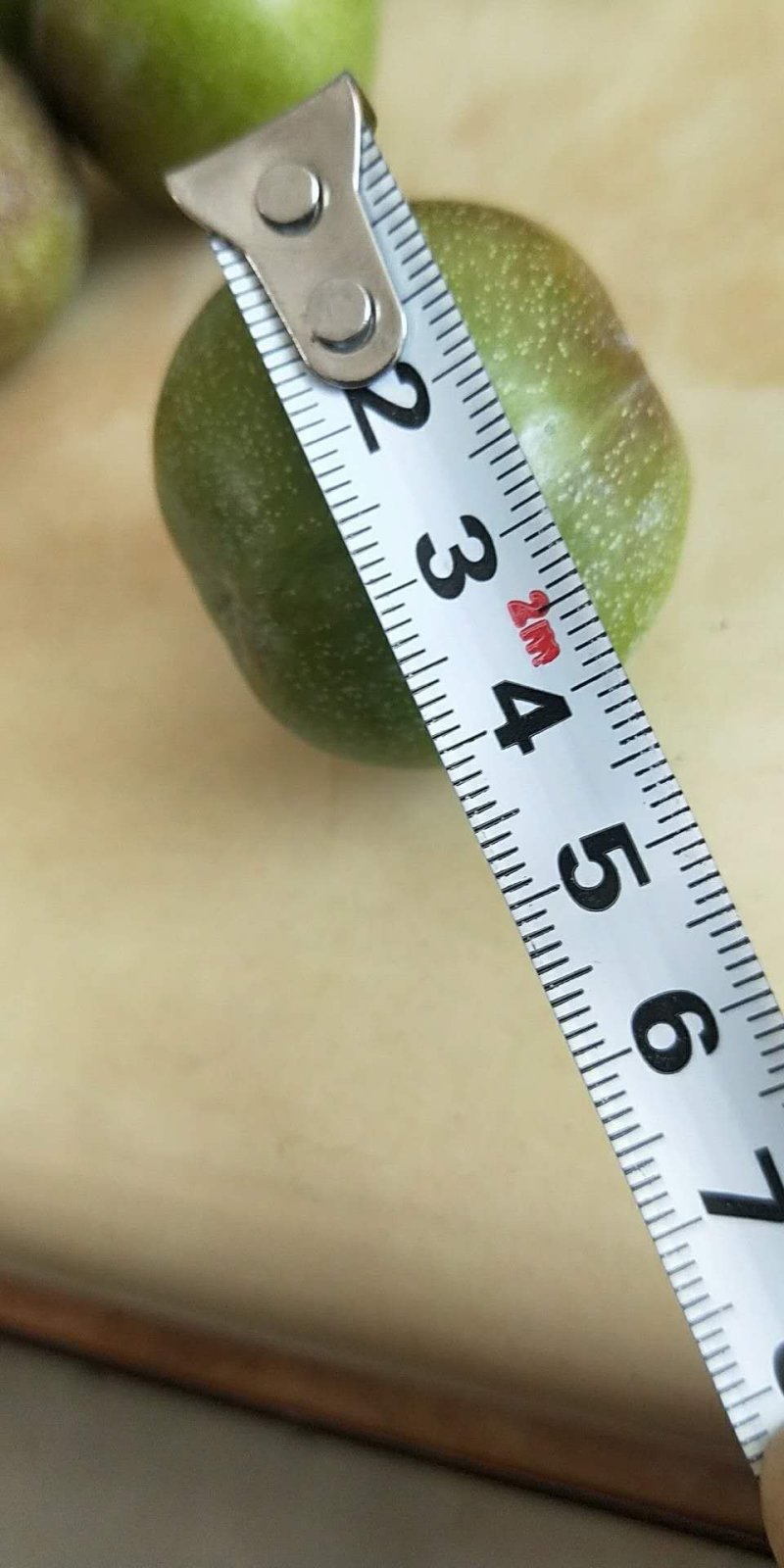 文山半边红李子预订中好货不多想要得老板出手拉