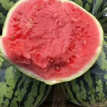 夏邑美都好吃可口无籽质量非常好需要可以联系我