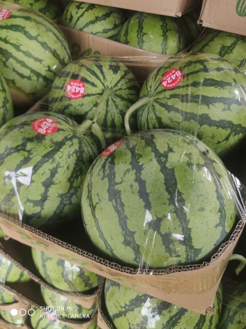 夏邑美都好吃可口无籽质量非常好需要可以联系我