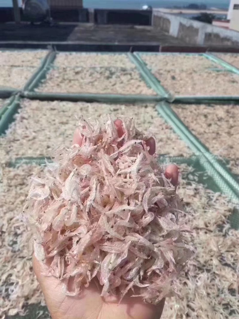 虾皮