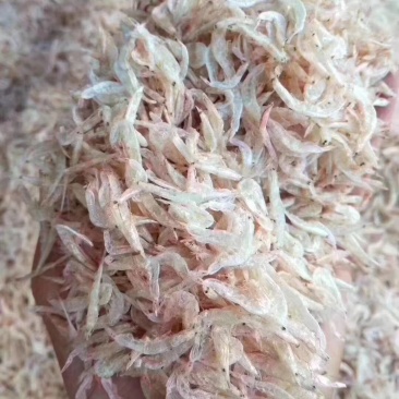 虾皮
