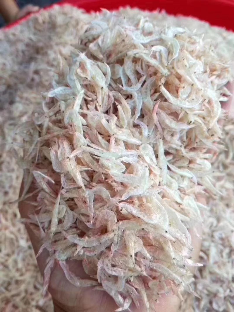 虾皮